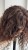 IMG_3931.jpeg