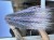 IMG_8207.jpeg