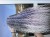 IMG_8103.jpeg