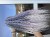 IMG_8096.jpeg