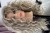 IMG_0477.jpeg