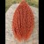 InShot_20220130_144249333.jpeg