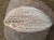 IMG_20220319_145624.jpeg