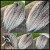 photo-output 7.jpg