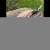 photo-output (1) 2.jpg