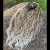 photo-output (1) 4.jpg