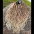 photo-output (1).jpeg