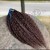 photo-output (1) 4.jpg