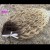 photo-output 3.jpeg