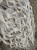IMG_2416.jpeg