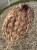IMG_2390.jpeg