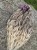 IMG_2507.jpeg