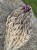 IMG_2508.jpeg