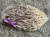 IMG_2518.jpeg