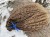 IMG_8264.jpeg