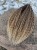 IMG_8288.jpeg