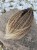 IMG_8290.jpeg
