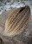 IMG_8291.jpeg