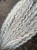 IMG_8325.jpeg
