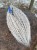IMG_8329.jpeg