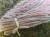 IMG_20220227_124059.jpeg