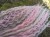 IMG_20220227_124107.jpeg
