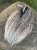 IMG_5963.jpeg