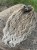IMG_6166.jpeg
