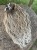 IMG_6179.jpeg