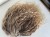 IMG_6483.jpeg