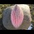 InShot_20220212_153302033.jpeg