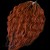 photo-output 4.jpeg