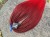 IMG_8004.jpeg