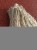 IMG_20220218_131853.jpeg