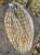 IMG_8027.jpeg