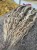 IMG_8221.jpeg