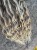 IMG_8226.jpeg