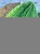IMG_8634.jpeg