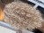 IMG_0648.jpeg