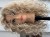 IMG_0845.jpeg