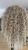 IMG_1654.jpeg