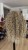IMG_1640.jpeg