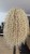 IMG_1620.jpeg